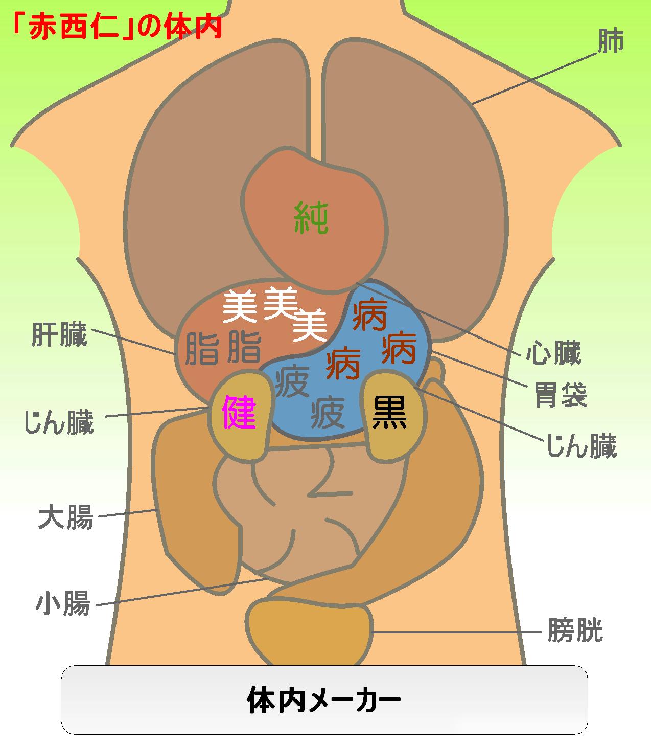 体内メーカー 体内図 有名人 赤西仁 体内メーカー Tainaime Ka をチェックするならココ